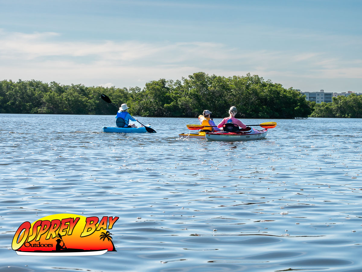 Seminole Waterfront Park paddling trip June 2026