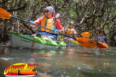 Weedon-island-May-2023-99