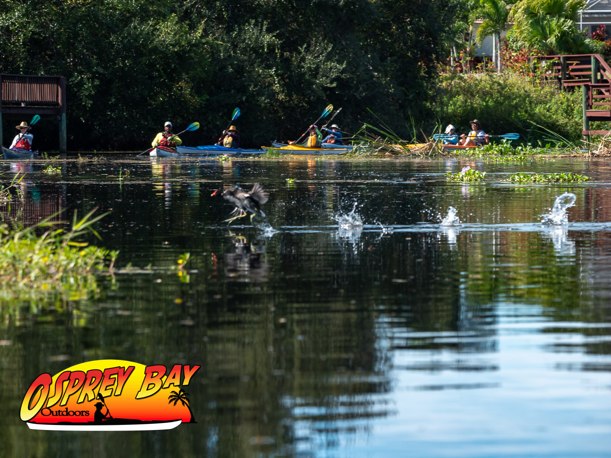 Braden River Paddle Trip Nov 2023