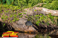 Braden-River-Nov-2023-134