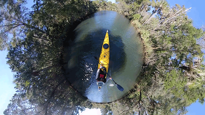 Peaceful Paddling on the Chassahowitzka River