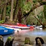 Chassahowitzka River Paddle Trip