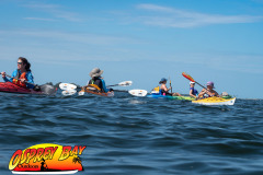 Crystal-beach-2026-22