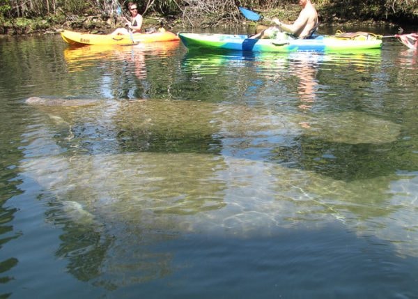 Crystal River