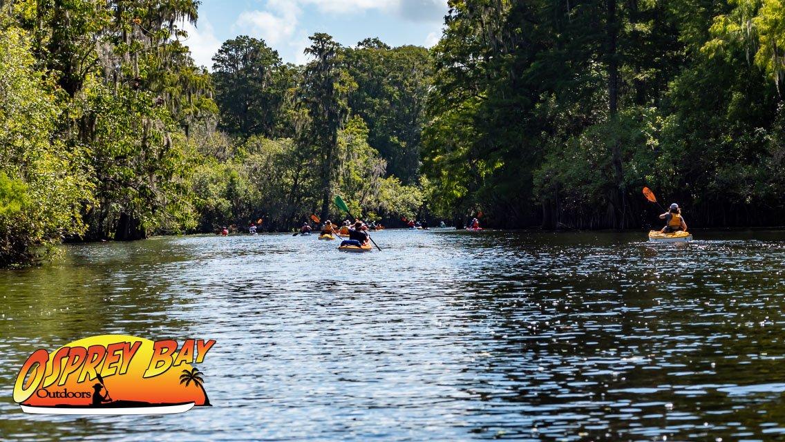Hillsborough River Paddle Trip Aug 2022     A Cypress wilderness adventure.