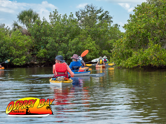Paddle Through Clam Bayou Mangrove Tunnels to Gulfport – Dolphins, Graffiti Boats & Waterfront Picnics with Osprey Bay Outdoors