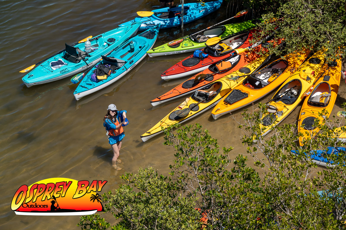 Robinson Preserve Paddle Trip 2026: Overcoming Obstacles for a Perfect Paddle