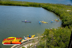 Robinson-Preserve2024-231