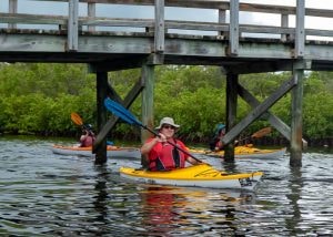 Robinson Preserve