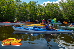 Robinson Preserve June 2022