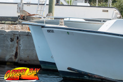 anclote-river-2023-105