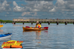 weedon-island-2022-web-14