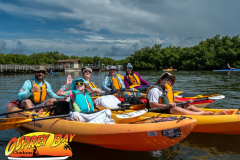 weedon-island-2022-web-8