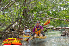 Weedon Island 2024