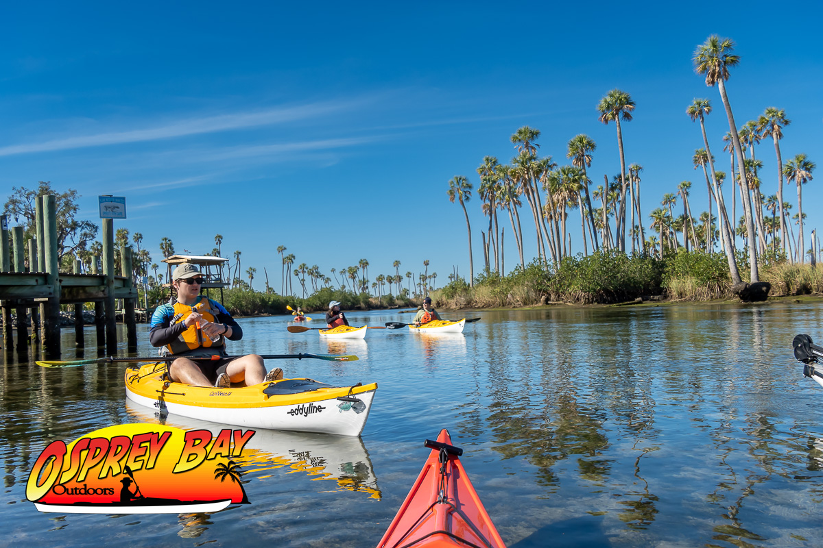 Group kayaking on the clear, spring-fed waters of the Weeki Wachee River in Florida, surrounded by tall palm trees under a bright blue sky, with Osprey Bay Outdoors logo in the foreground