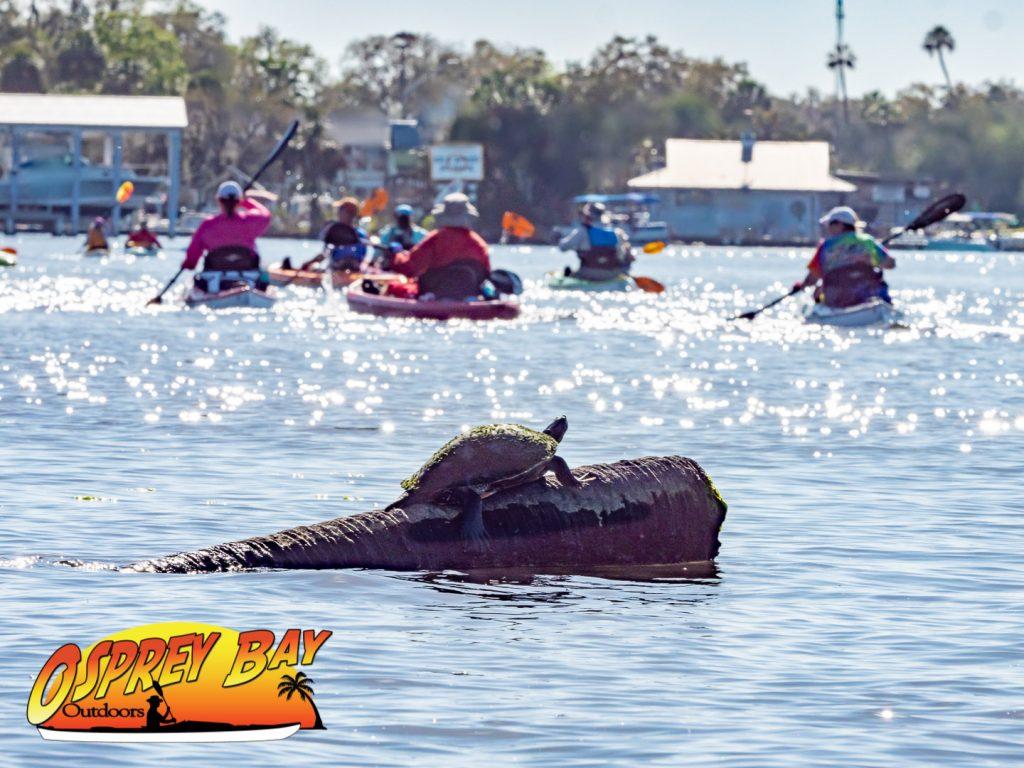 Homosassa River Paddle Trip March 2022 2 Homosassa River Paddle Trip March 2022 Homosassa River Paddle Trip March 2022 1